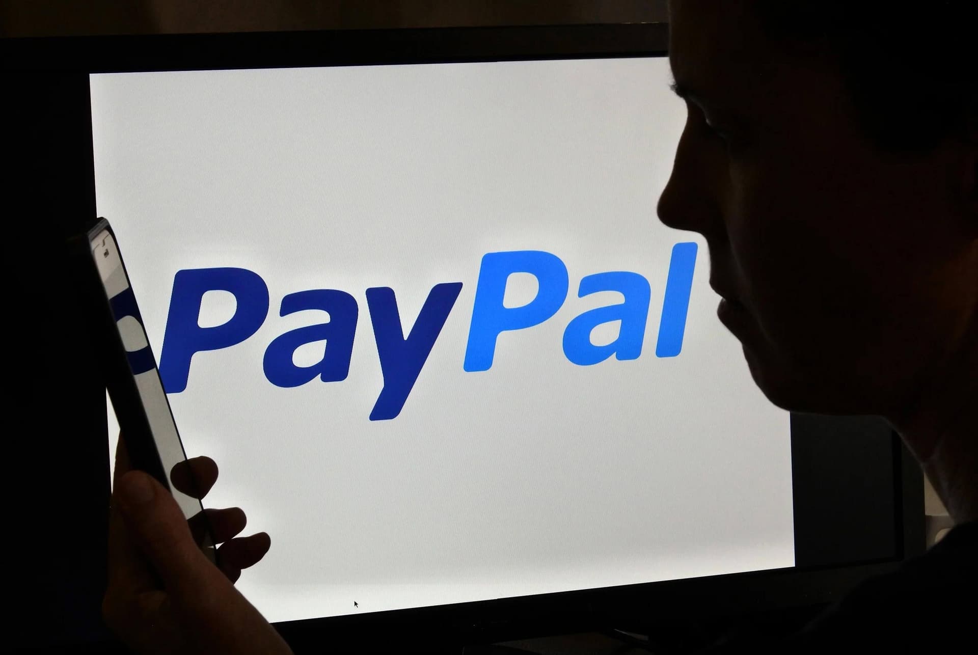 PayPal fraud detection and financial security system